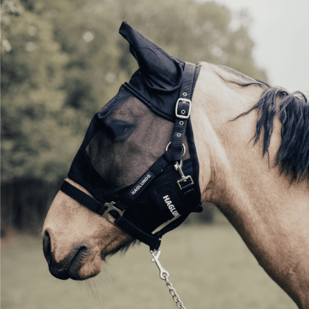Flughuvor & Pannband