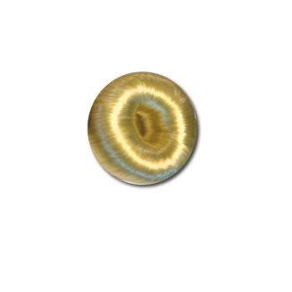 Donut till håruppsättning Equipage