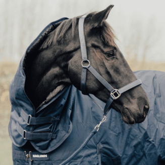 vintertäcke-400-gram-häst-haglunds