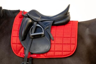 Dressyrschabrak Mesh Glitter Röd Horse Guard