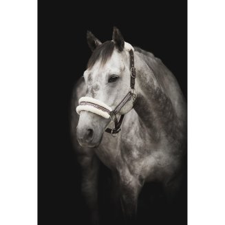 Grimma Unique Horse m. päls Källquist