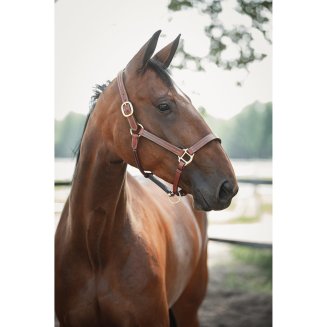 Lädergrimma Lexington Supreme Lippo