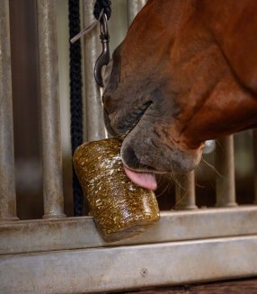 Slicksten Örter StableSnack Waldhausen