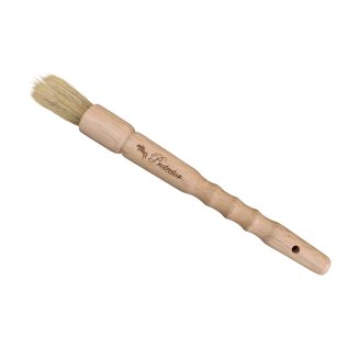 Hovpensel Med Trä Protector