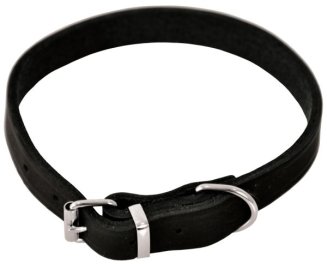 Halsband Läder Nitat Dogman