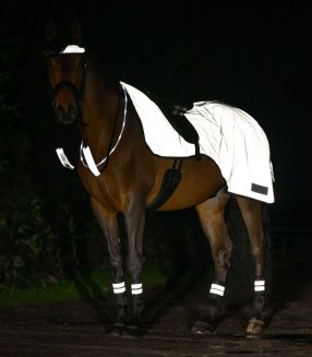 Ridtäcke Reflex Exercise Rug Silver Waldhausen