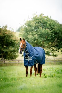 Övergångstäcke Amigo Ripstop 900D Plus 100g Turnout Horseware