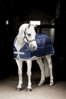 Liner Pony 200g Horseware