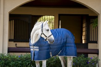 Stalltäcke Amigo Ripstop Insulator Stable 100g Horseware