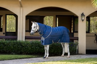 Stalltäcke Amigo Insulator Plus 200g Horseware