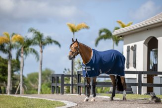 Sommartäcke Amigo Stable Sheet Navy & Silver Horseware