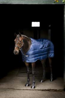 Liner 50 g Horseware