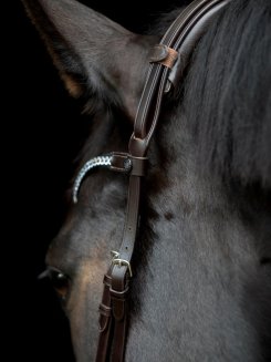 Nackstycke Gentle Catago