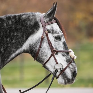 Pullarträns GPC Haglunds