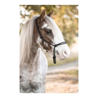 Repgrimma Källquist