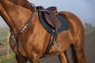 Förbygel Micklem Horseware