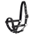 Fölgrimma Foal New Basics Eskadron