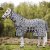 Flugtäcke All-in-One Zebra New Basic 2.0 Haglunds