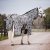Flugtäcke All-in-One Zebra New Basic 2.0 Haglunds