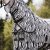 Flugtäcke All-in-One Zebra New Basic 2.0 Haglunds