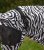 Eksemhuva Fly Mask Zebra Waldhausen