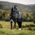 Regntäcke 50g Amigo 1200D Fieldsafe Plus Refletech Horseware