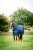 Övergångstäcke Amigo Ripstop 900D Plus 100g Turnout Horseware