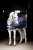 Liner Pony 300g Horseware