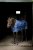 Liner 50 g Horseware