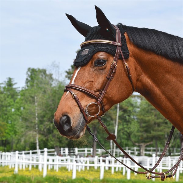 Träns Thamar Mässingklinkers Kombo Nosgrimma Equalityline