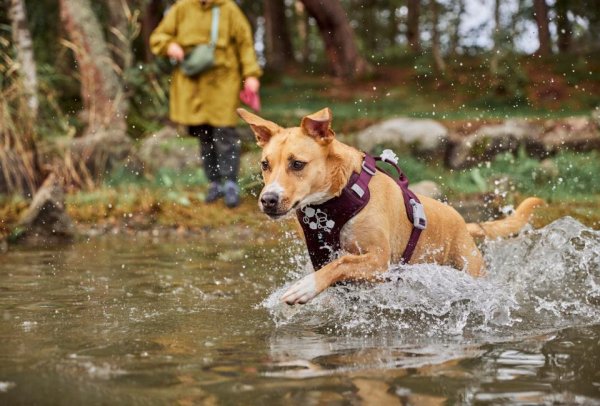 Hundsele Weekend Warrior II ECO Hurtta