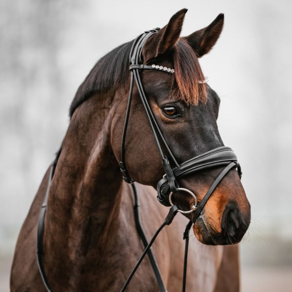 Träns Rundsytt GPC Haglunds