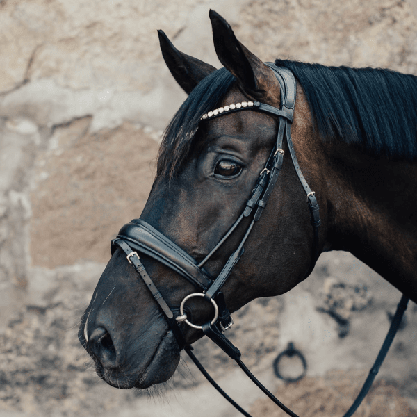 Rundsytt Dressyrträns Pirouette Haglunds