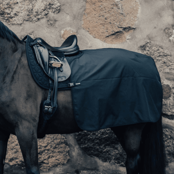 ländtäcke-häst