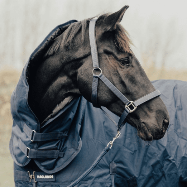 vintertäcke-400-gram-häst-haglunds