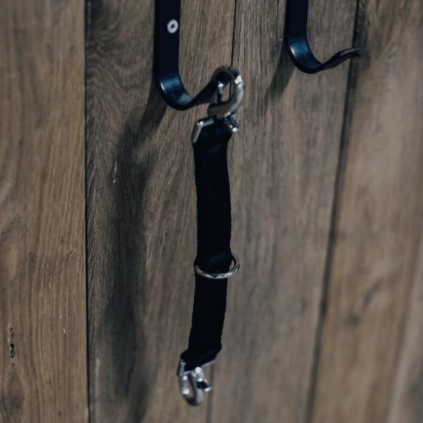 longeringsdelta-häst