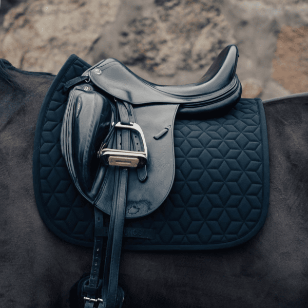 dressyrschabrak-haglunds-häs