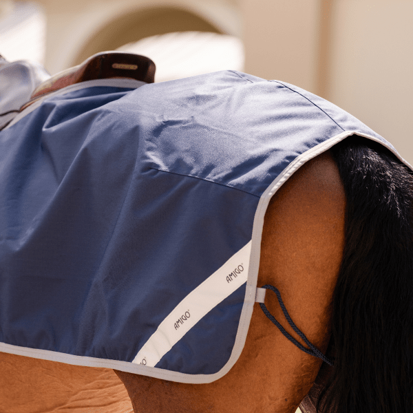 landtacke_hast_horseware_amigo