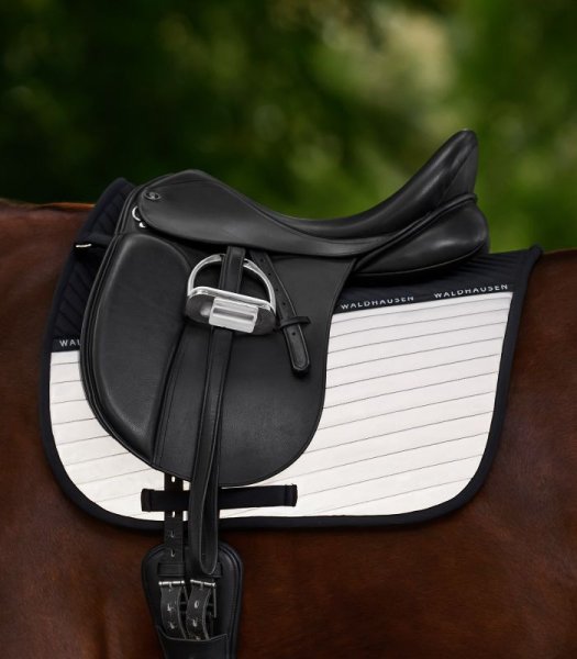 Schabrak REFLEX Waldhausen