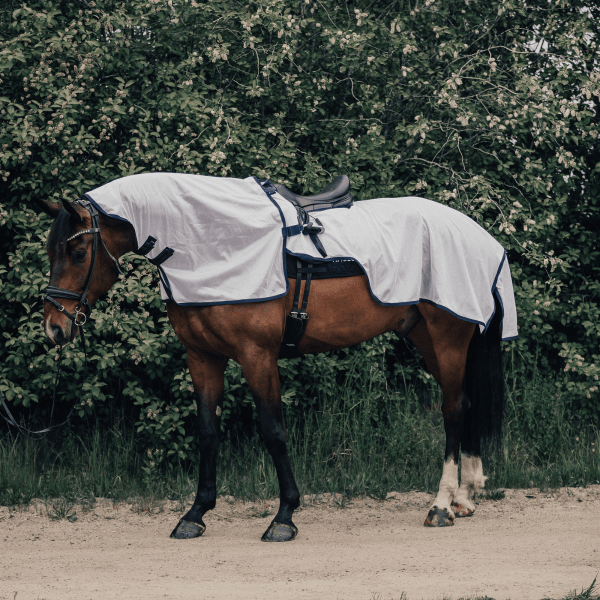 ridflugtäcke-häst
