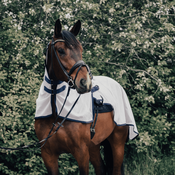ridflugtäcke-häst