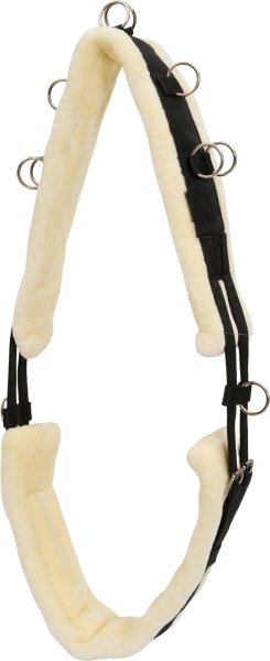 Longeringsgjord Teddy Horse Guard