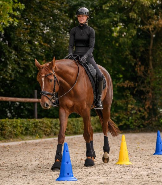 Koner XL 8-pack inkl väska Waldhausen