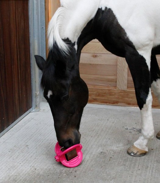 Bizzy Ball Hållare Likit