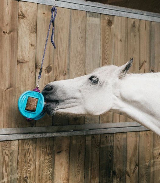 Bizzy Ball Hållare Likit
