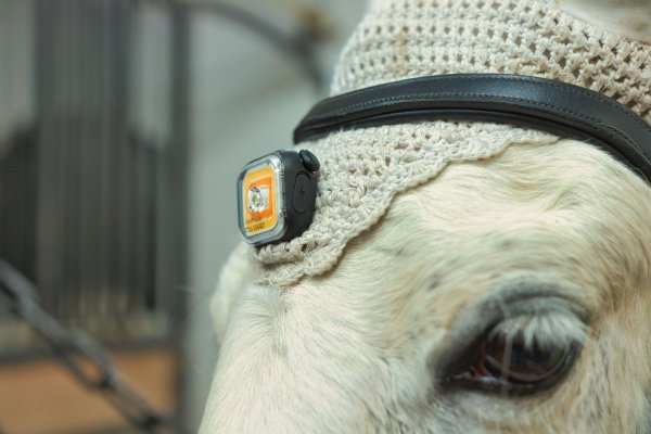 LED-lampa Light 01 MEOLINQ