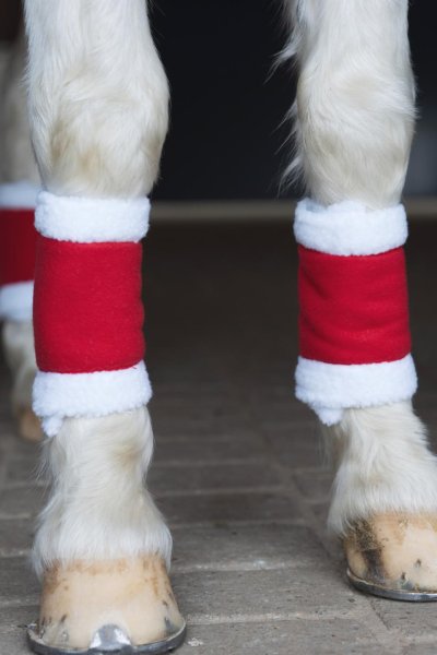 Benskydd Jul 4 st HorseGuard