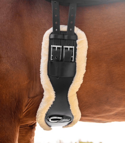 Dressyrgjord Läder Eco Wool Waldhausen