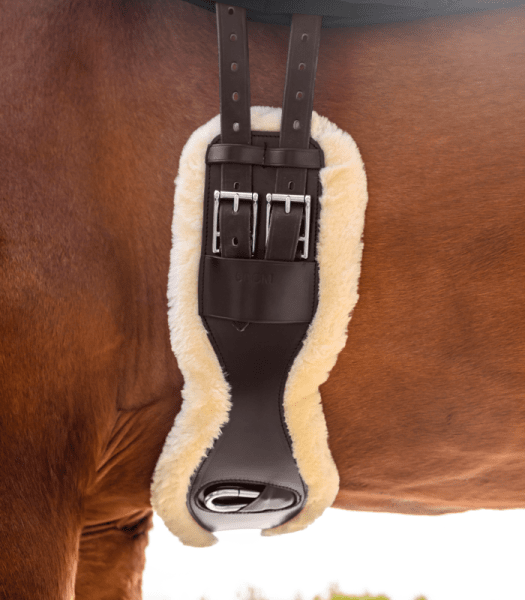 Dressyrgjord Läder Eco Wool Waldhausen