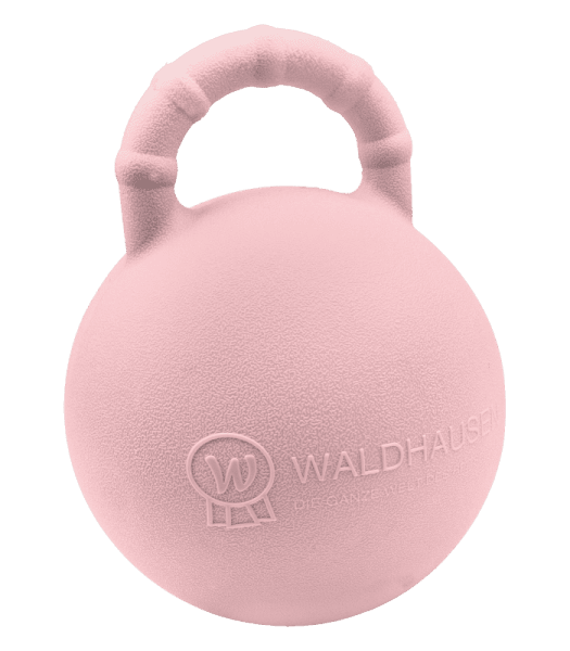Hästleksak Fun Ball med smak Waldhausen